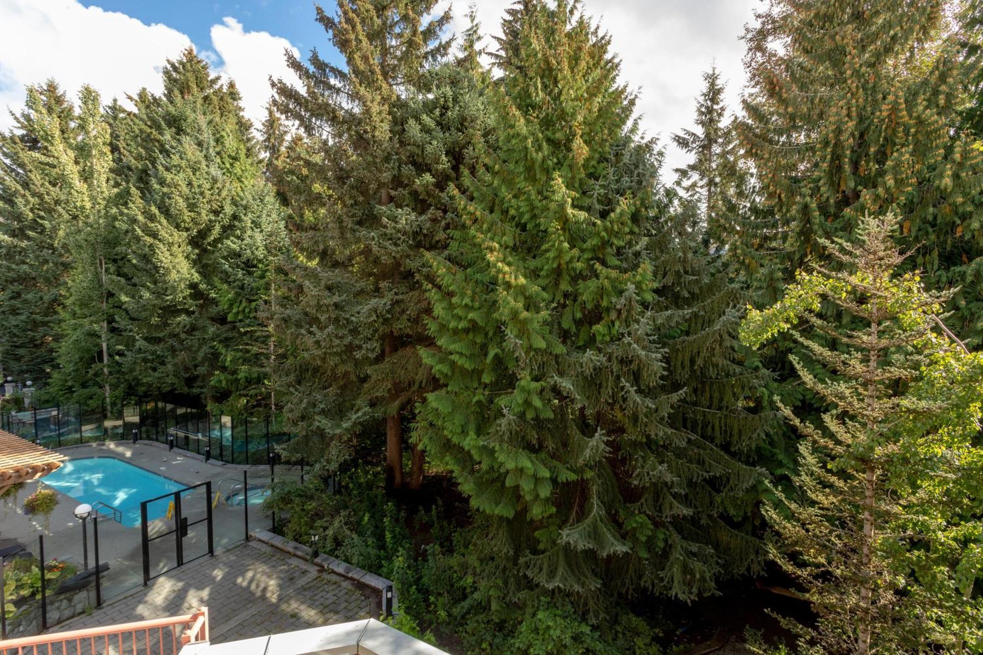 Alpenglow Lodge Bear Wonder One Bedroom By Mva Whistler Luaran gambar